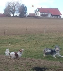 IP_Bild_121.JPG