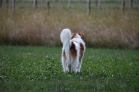 IP_Bild_160.JPG