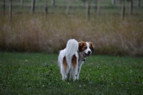 IP_Bild_161.JPG