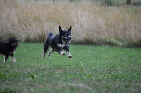 IP_Bild_164.JPG