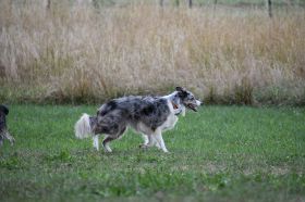 IP_Bild_165.JPG